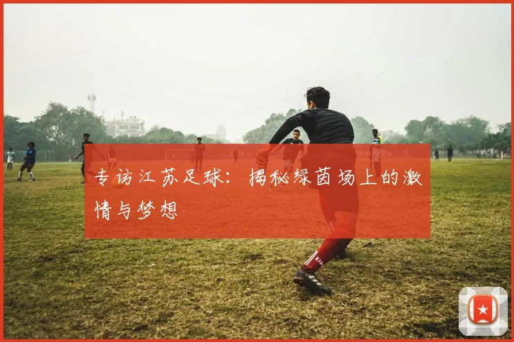 专访江苏足球：揭秘绿茵场上的激情与梦想