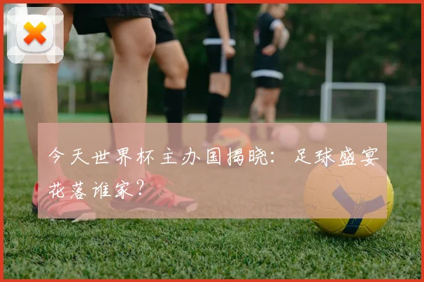 今天世界杯主办国揭晓：足球盛宴花落谁家？